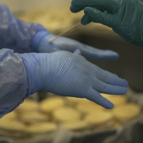 proveedor-de-alimentos